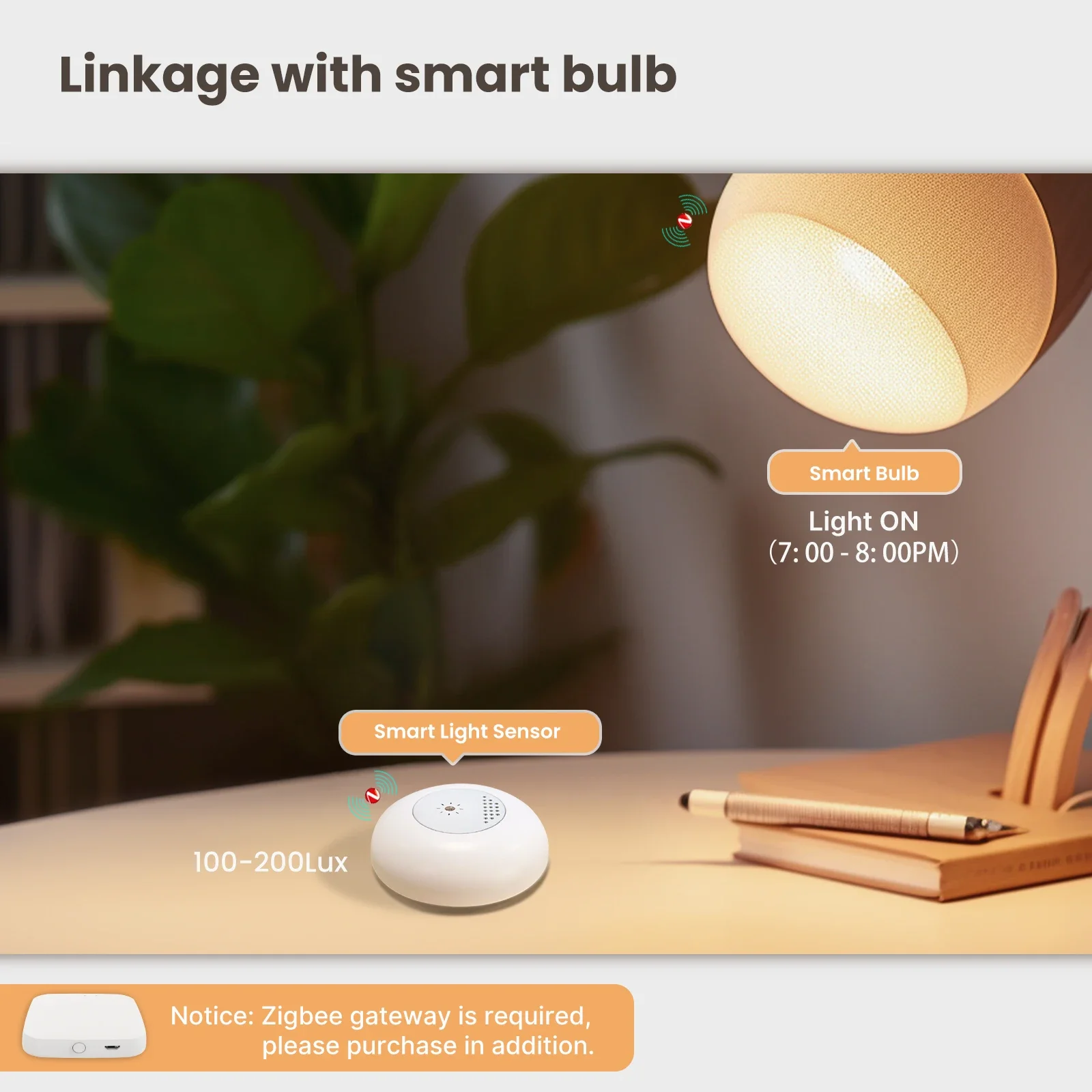 MOES Tuya Zigbee inteligentny  – Home Automation Ideas recenzja i cena